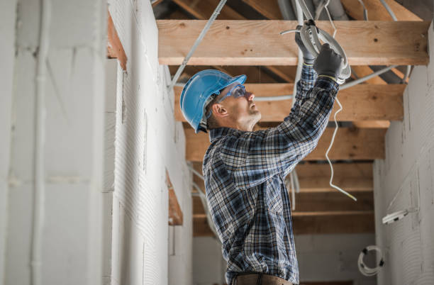 Best Electric Panel Repair  in Seabrook, TX
