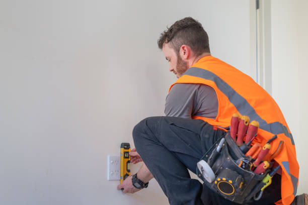 Best Electric Panel Repair  in Seabrook, TX